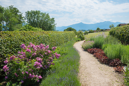 Bild-Nr: 12877981 Park in Gstadt am Chiemsee Erstellt von: SusaZoom