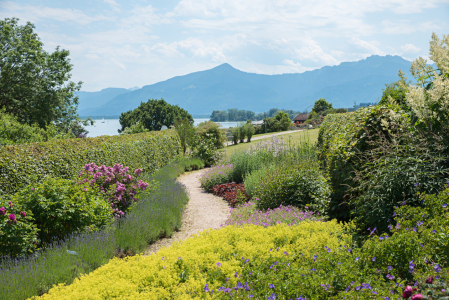 Bild-Nr: 12877983 Park in Gstadt am Chiemsee II Erstellt von: SusaZoom