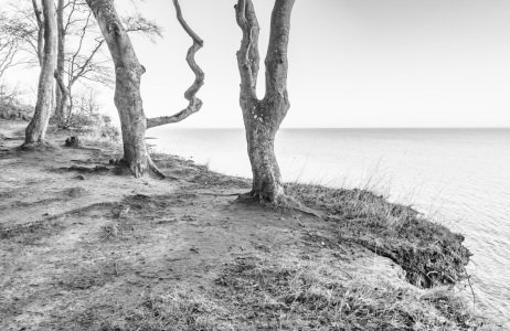 Bild-Nr: 12879472 Ostseeblick über die Abbruchkante    _S_W_ Erstellt von: Ursula Reins