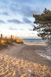 Bild-Nr: 12880919 Dünenweg zum Ostseestrand Erstellt von: Ursula Reins