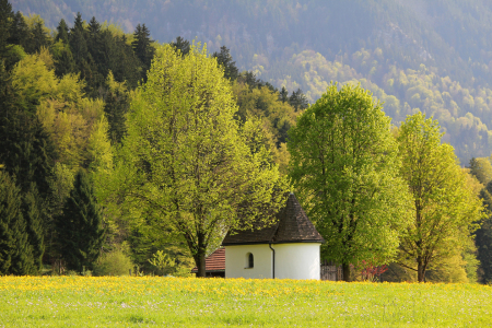 Bild-Nr: 12883469 Kapelle am Frühlingswald Erstellt von: SusaZoom