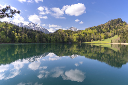 Bild-Nr: 12884785 Alatsee Erstellt von: Walter G. Allgöwer