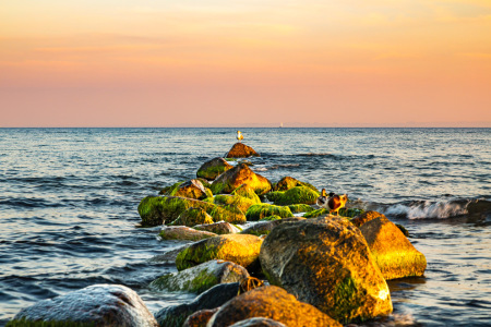 Bild-Nr: 12884798 Chillen am Ostseestrand Erstellt von: Ursula Reins