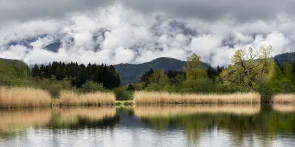 Bild-Nr: 12885800 Zwischen Licht und Schatten Erstellt von: Walter G. Allgöwer