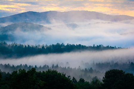Bild-Nr: 12886302 Sommerabend im Bayerischen Wald Erstellt von: Martin Martin Wasilewski