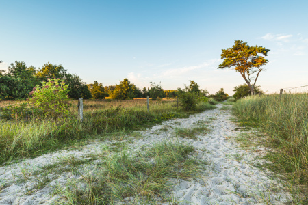 Bild-Nr: 12887000 Wanderweg durch die Braundünen  Erstellt von: Ursula Reins