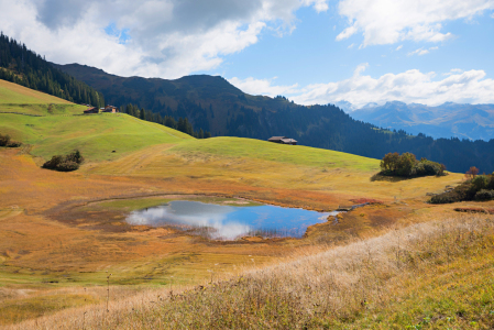 Bild-Nr: 12888618 Stelsersee im Herbst Erstellt von: SusaZoom
