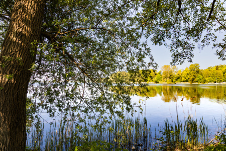 Bild-Nr: 12892659 Kellersee Idylle Erstellt von: Ursula Reins