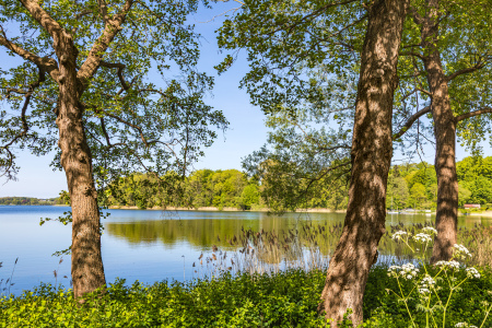 Bild-Nr: 12893033 Blick über den Kellersee Erstellt von: Ursula Reins