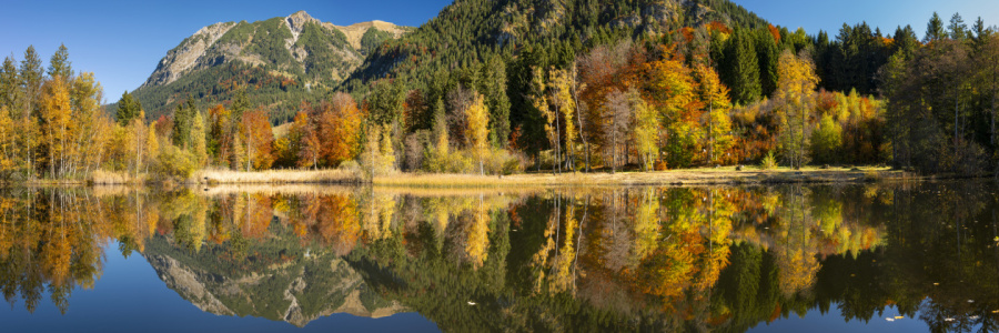 Bild-Nr: 12894490 Oberstdorfer Bergwelt im Herbstlicht Erstellt von: Walter G. Allgöwer