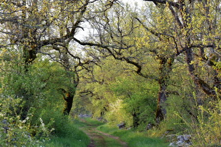 Bild-Nr: 12896189 Romantik Erstellt von: GUGIGEI