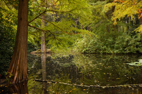 Bild-Nr: 12897785 Teich Erstellt von: Atteloi