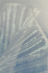 Bild-Nr: 12899505 Schimmerndes Gewebe in Faltung Erstellt von: Sandra Höfer