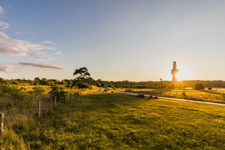 Bild-Nr: 12903072 Wanderweg durch Braundünen Erstellt von: Ursula Reins