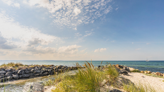 Bild-Nr: 12905200 Ostseebuhnen und Strandhafer Erstellt von: Ursula Reins