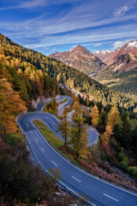 Bild-Nr: 12914712 Herbst am Malojapass Schweiz Erstellt von: Achim Thomae