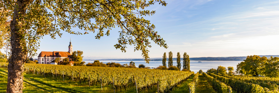 Bild-Nr: 12914834 Panorama Wallfahrtskirche Birnau am Bodensee Erstellt von: dieterich