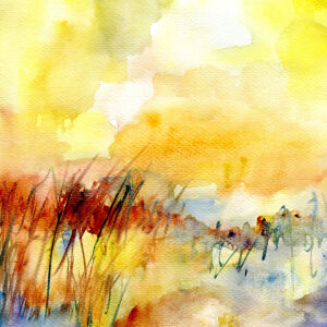 Bild-Nr: 12915275 Gräser im Licht Erstellt von: ClaudiaG