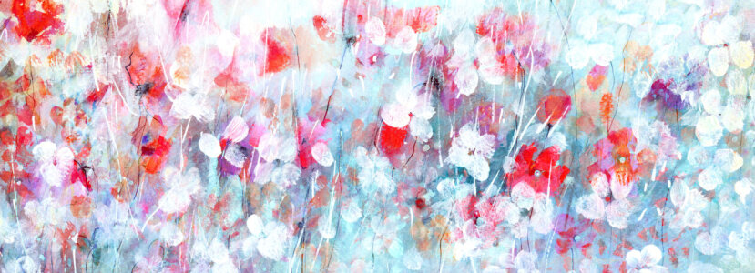 Bild-Nr: 12915288 Leichtigkeit einer Blumenwiese Erstellt von: ClaudiaG