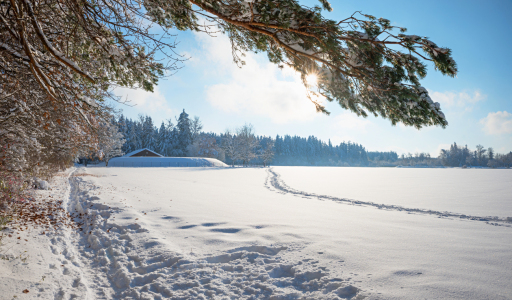 Bild-Nr: 12940942 Winterpfad am Waldrand Erstellt von: SusaZoom