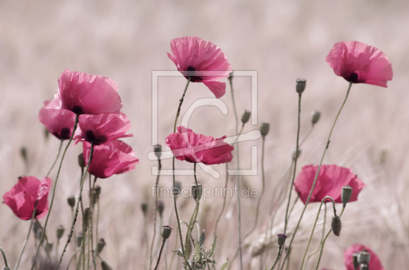 frei w&auml;hlbarer Bildausschnitt f&uuml;r Ihr Bild auf Mousepad