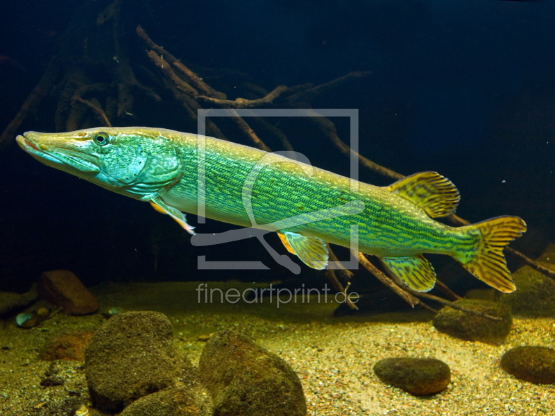 frei w&auml;hlbarer Bildausschnitt f&uuml;r Ihr Bild auf Mousepad