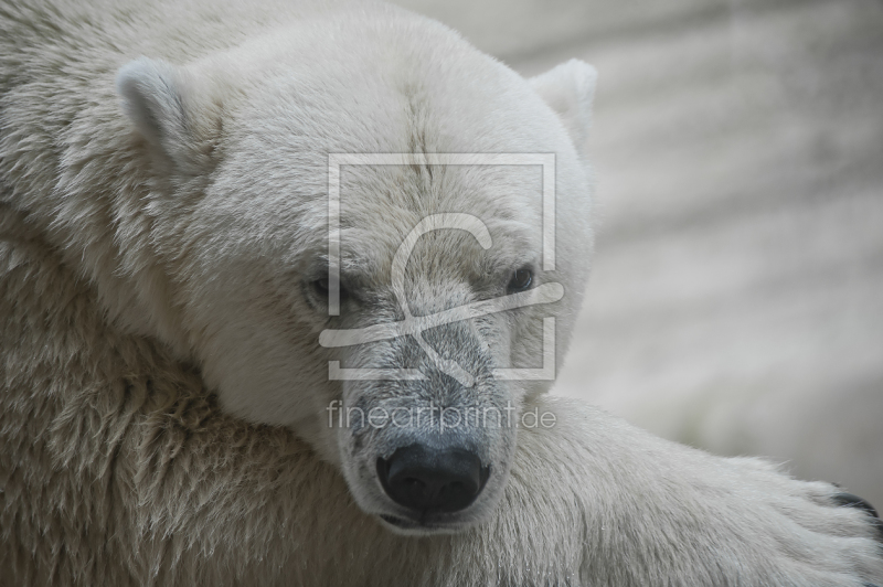 frei wählbarer Bildausschnitt für Ihr Bild auf Mousepad