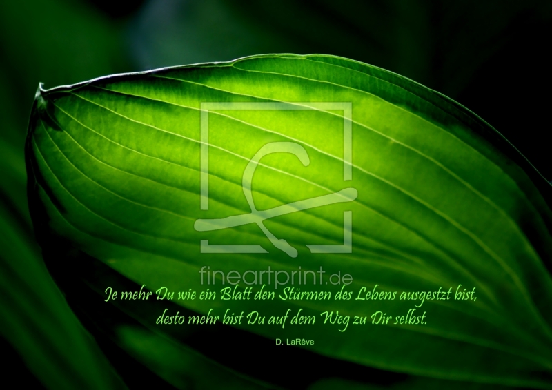 frei w&auml;hlbarer Bildausschnitt f&uuml;r Ihr Bild auf Mousepad