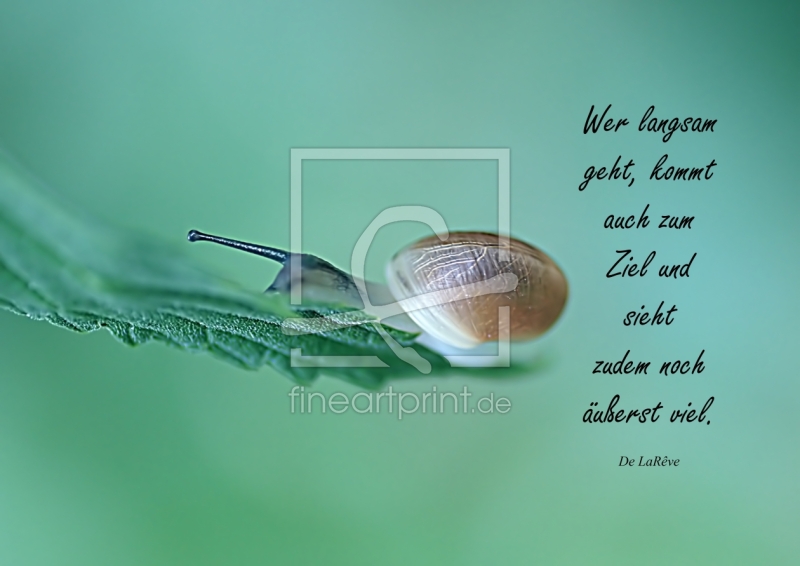 frei w&auml;hlbarer Bildausschnitt f&uuml;r Ihr Bild auf Mousepad