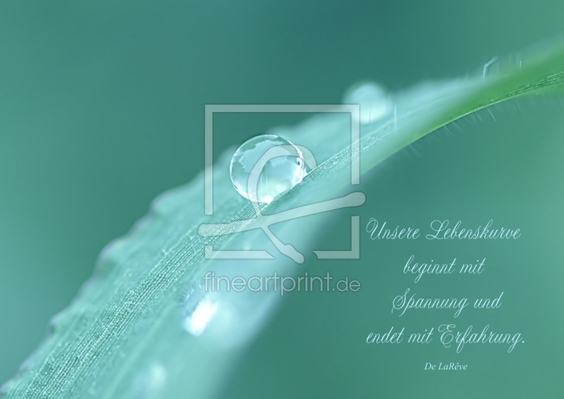 frei w&auml;hlbarer Bildausschnitt f&uuml;r Ihr Bild auf Mousepad