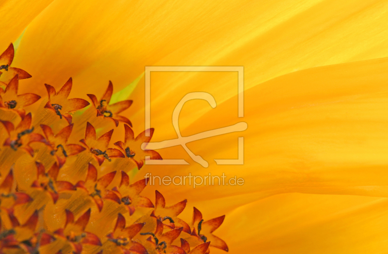 frei w&auml;hlbarer Bildausschnitt f&uuml;r Ihr Bild auf Mousepad