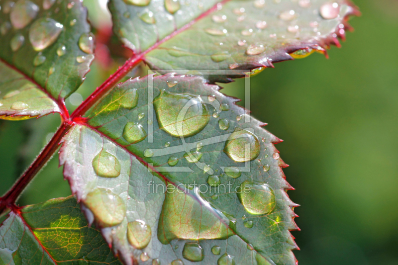 frei w&auml;hlbarer Bildausschnitt f&uuml;r Ihr Bild auf Mousepad