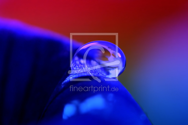 frei w&auml;hlbarer Bildausschnitt f&uuml;r Ihr Bild auf Mousepad