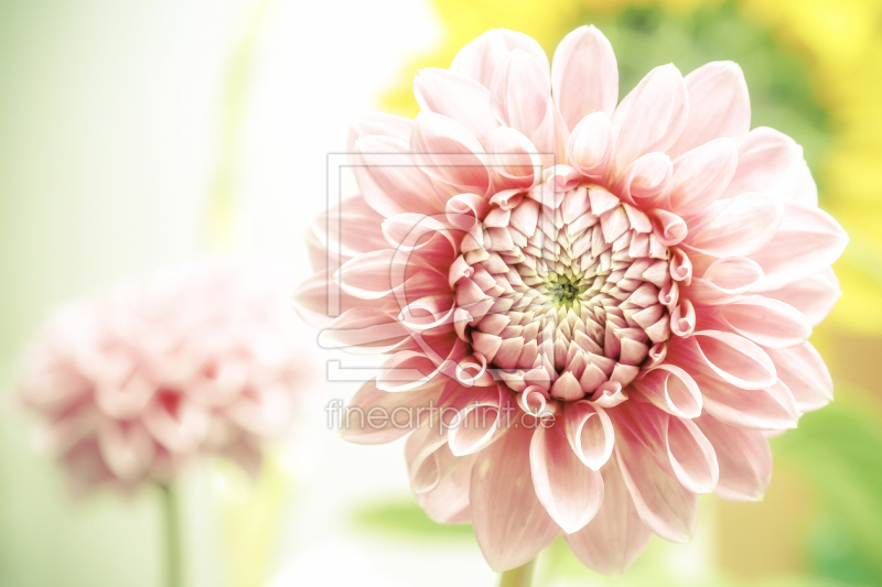 frei w&auml;hlbarer Bildausschnitt f&uuml;r Ihr Bild auf Mousepad