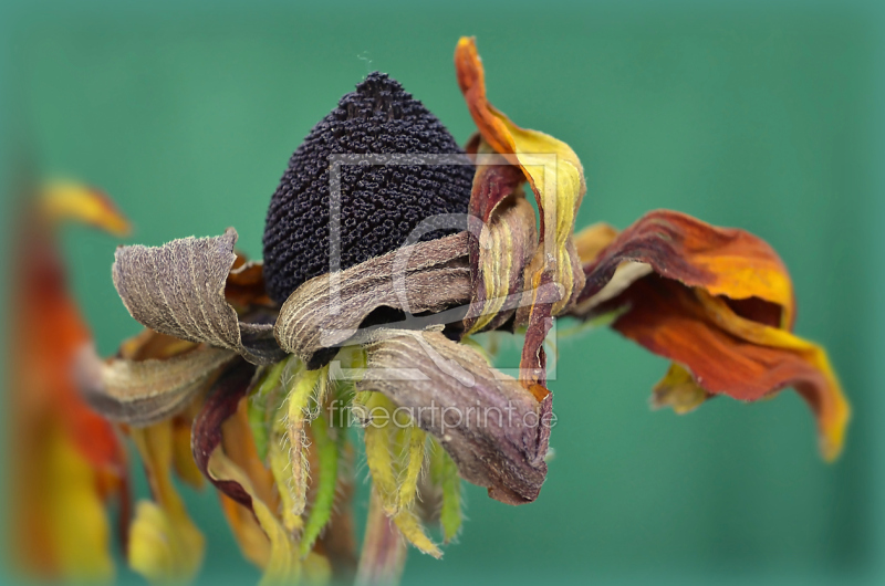 frei w&auml;hlbarer Bildausschnitt f&uuml;r Ihr Bild auf Mousepad