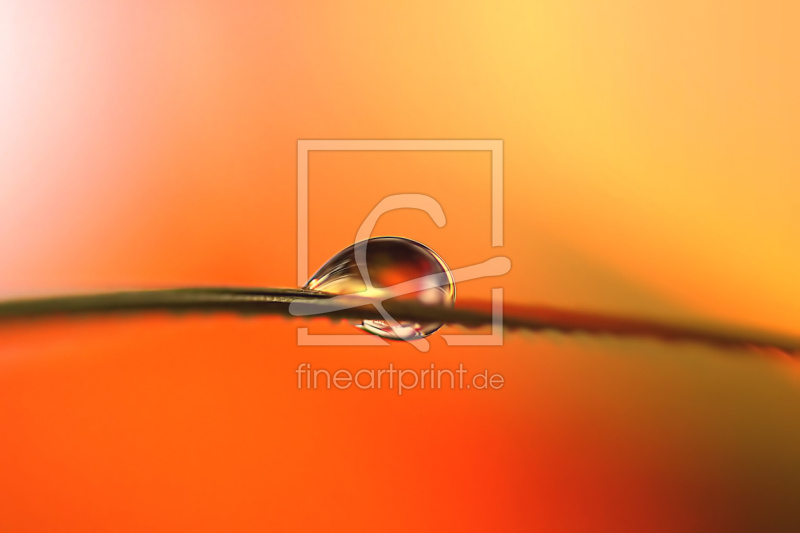 frei w&auml;hlbarer Bildausschnitt f&uuml;r Ihr Bild auf Mousepad