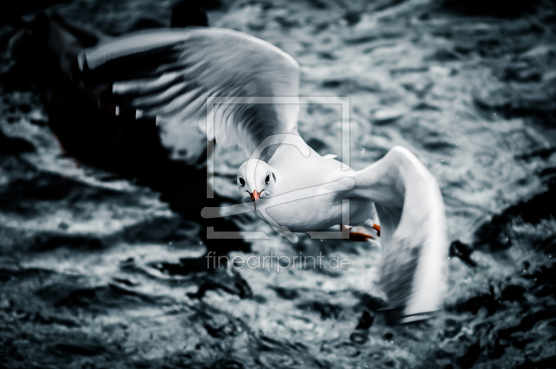 frei w&auml;hlbarer Bildausschnitt f&uuml;r Ihr Bild auf Mousepad