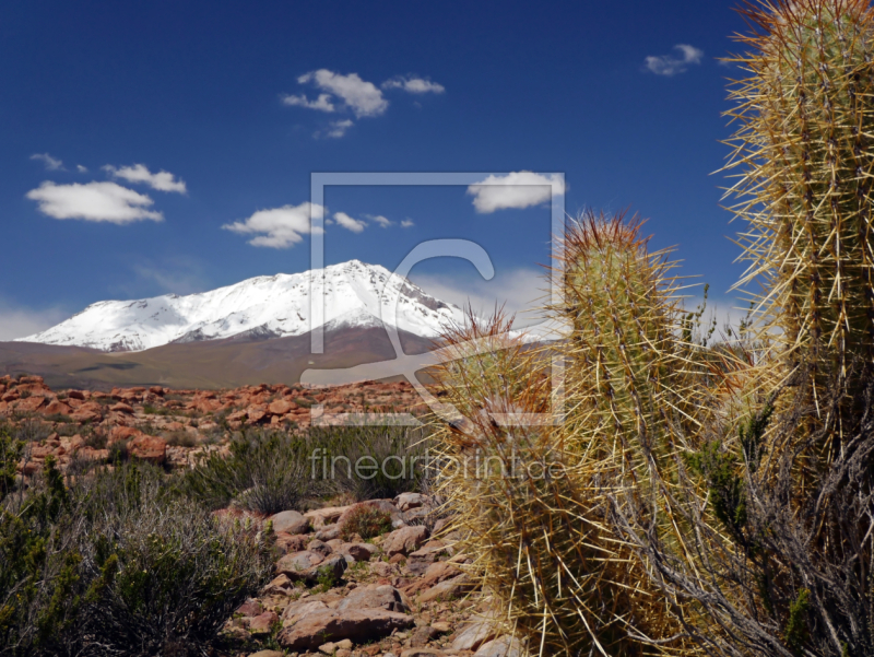 frei w&auml;hlbarer Bildausschnitt f&uuml;r Ihr Bild auf Mousepad