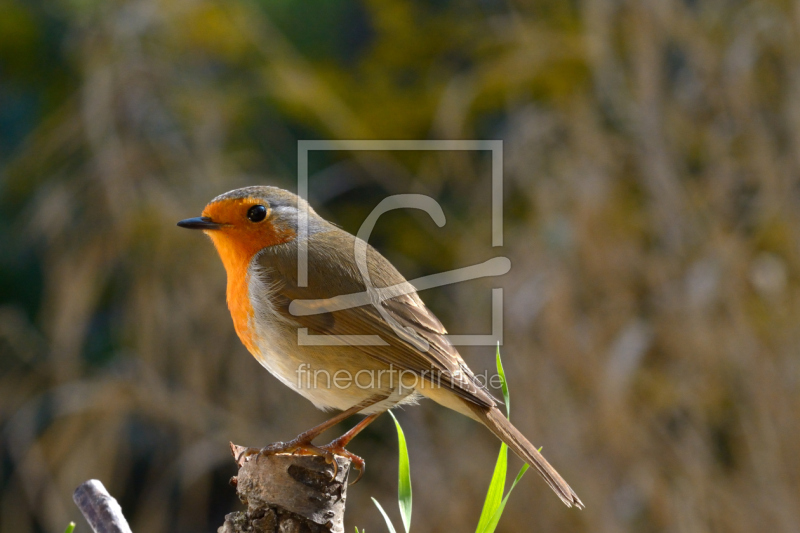frei w&auml;hlbarer Bildausschnitt f&uuml;r Ihr Bild auf Mousepad