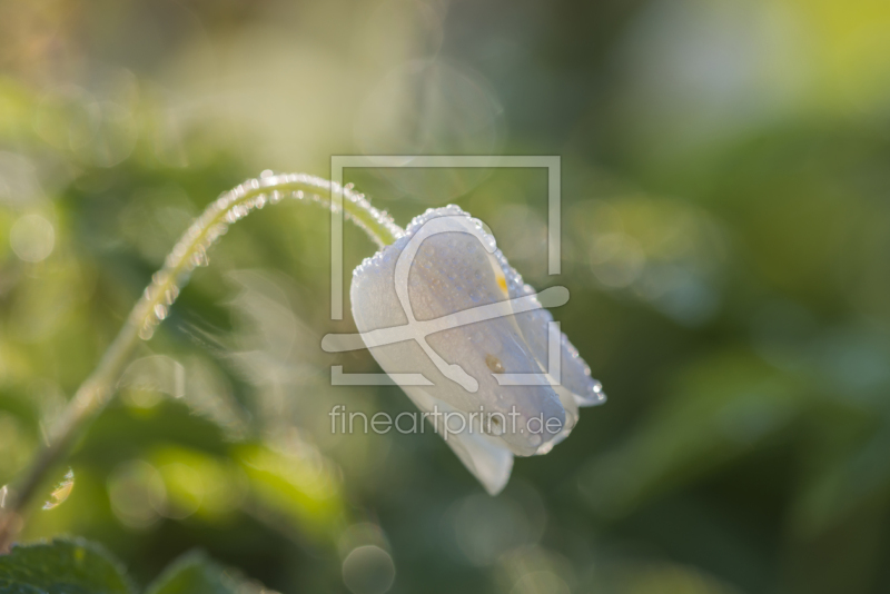 frei w&auml;hlbarer Bildausschnitt f&uuml;r Ihr Bild auf Mousepad