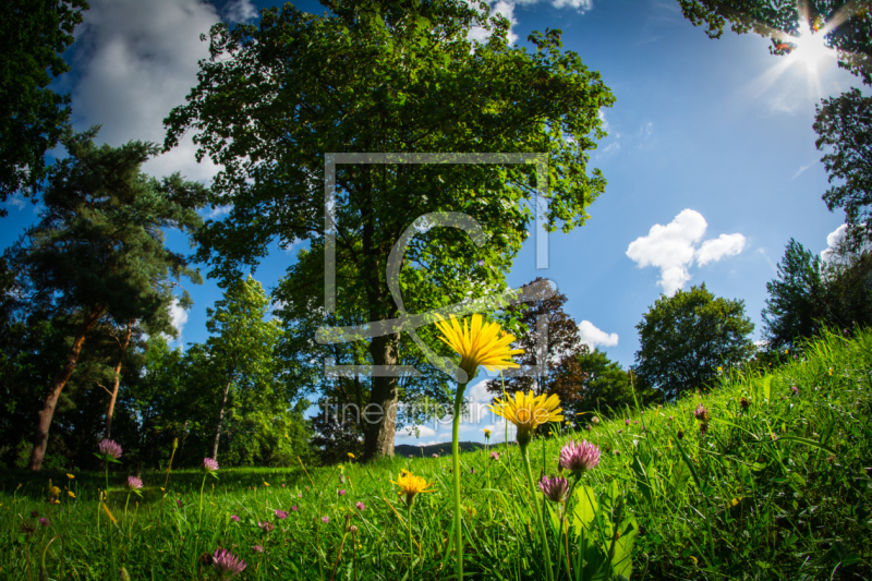 frei w&auml;hlbarer Bildausschnitt f&uuml;r Ihr Bild auf Mousepad