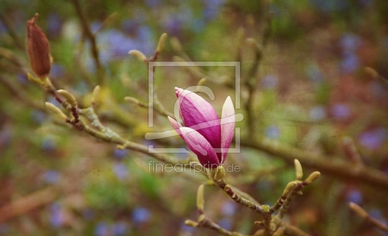 frei w&auml;hlbarer Bildausschnitt f&uuml;r Ihr Bild auf Mousepad