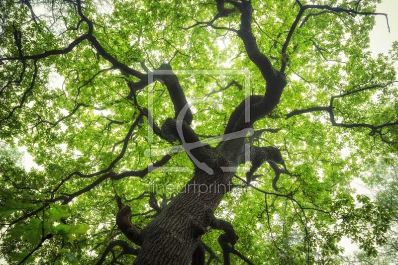 frei w&auml;hlbarer Bildausschnitt f&uuml;r Ihr Bild auf Mousepad