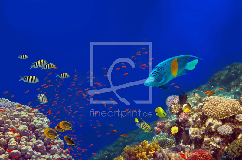 frei w&auml;hlbarer Bildausschnitt f&uuml;r Ihr Bild auf Mousepad