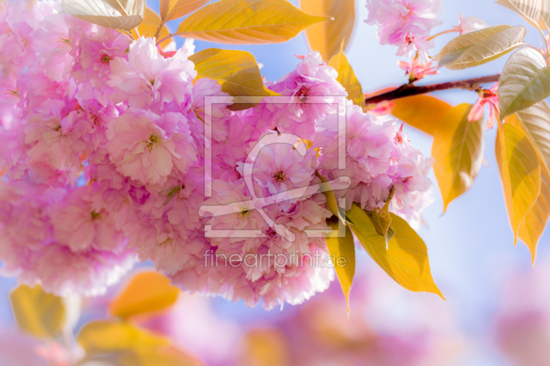 frei w&auml;hlbarer Bildausschnitt f&uuml;r Ihr Bild auf Mousepad