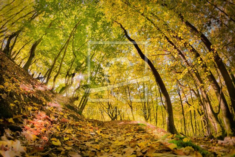 frei w&auml;hlbarer Bildausschnitt f&uuml;r Ihr Bild auf Mousepad