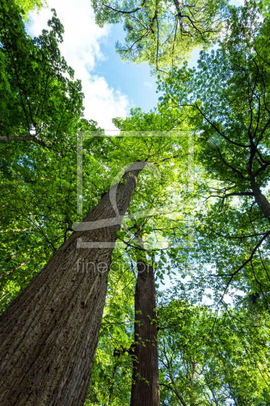 frei wählbarer Bildausschnitt für Ihr Bild auf Mousepad