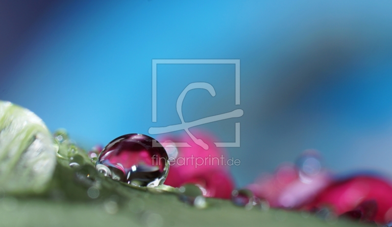 frei w&auml;hlbarer Bildausschnitt f&uuml;r Ihr Bild auf Mousepad