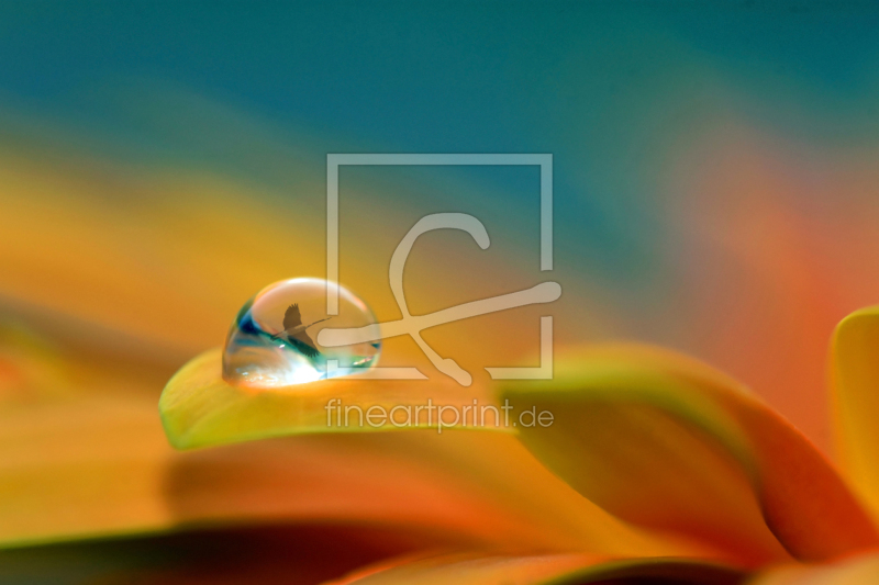 frei w&auml;hlbarer Bildausschnitt f&uuml;r Ihr Bild auf Mousepad