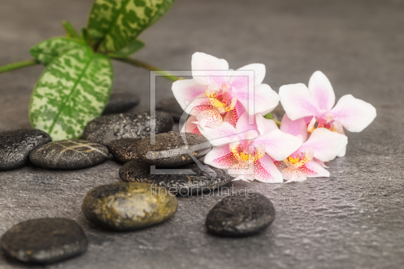 frei w&auml;hlbarer Bildausschnitt f&uuml;r Ihr Bild auf Mousepad